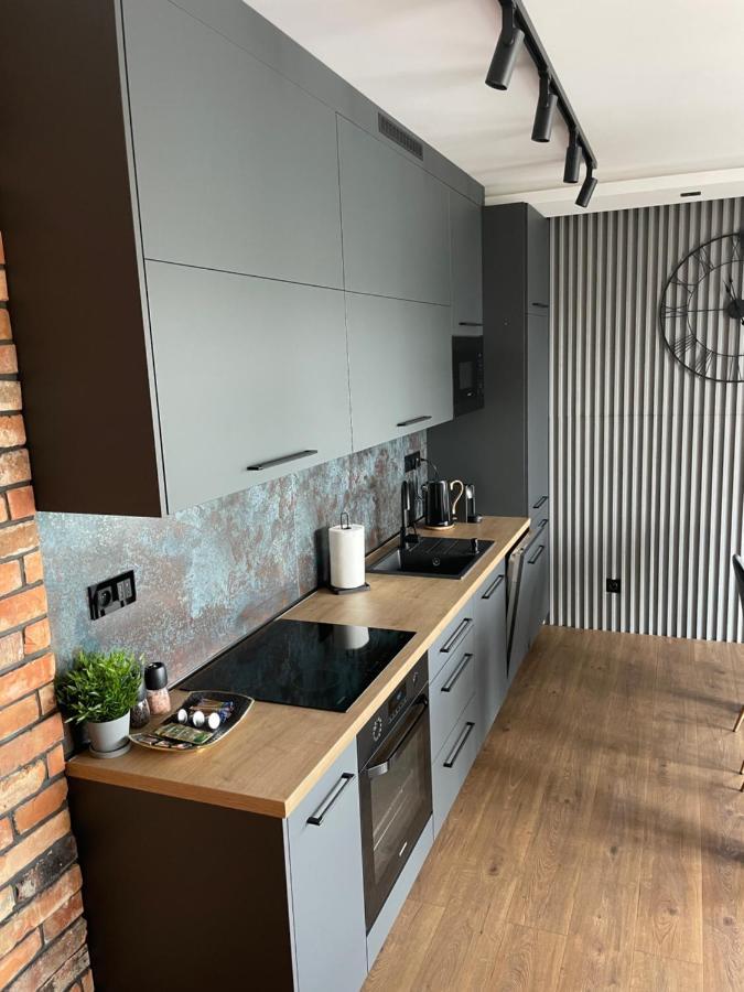 Apartament Grey Love W Czeladzi, Fv, 8Km Do Katowic Buitenkant foto